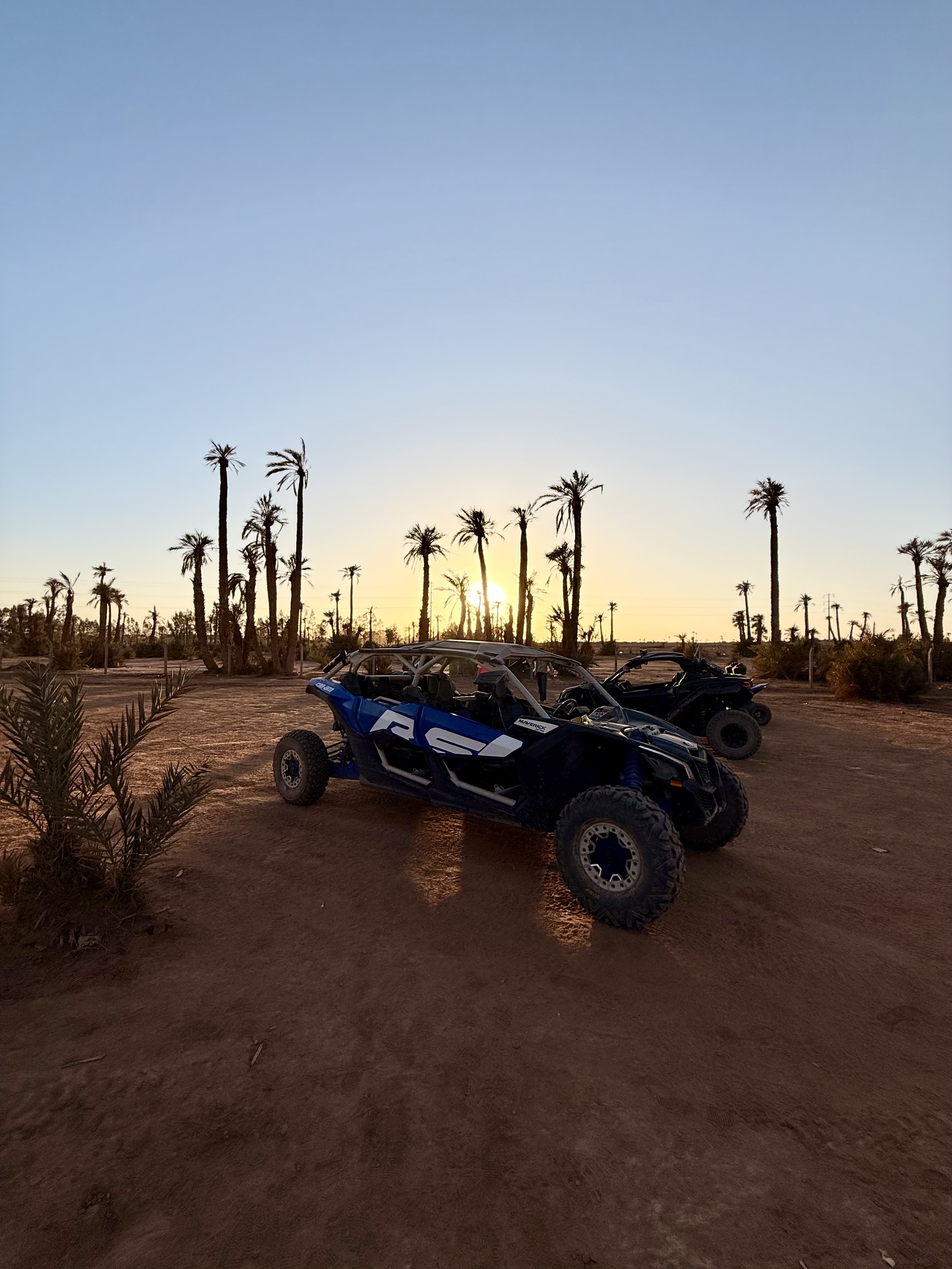 Buggy dans la Palmeraie