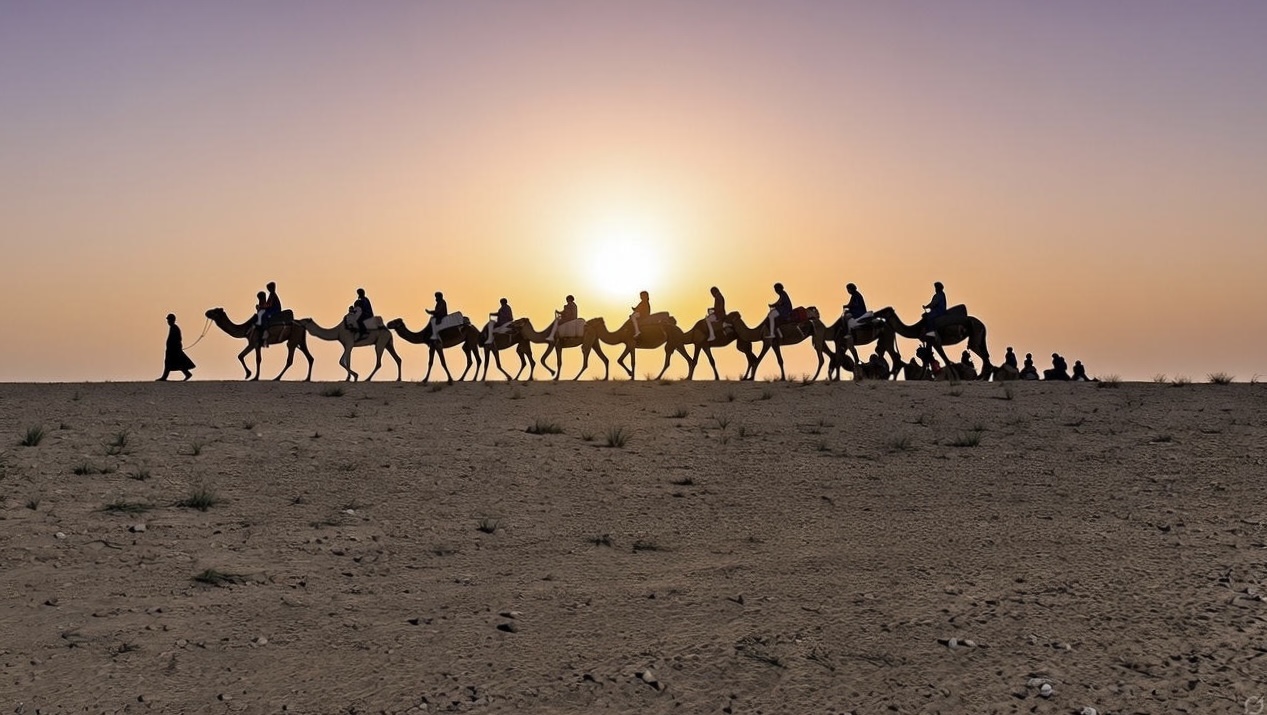 Balade en Dromadaire