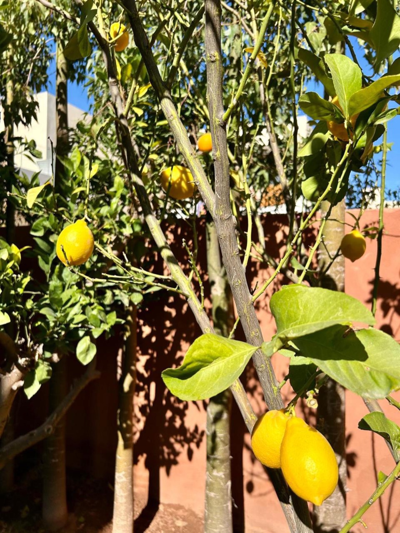 Villa Fanny — IMG_0483.JPG