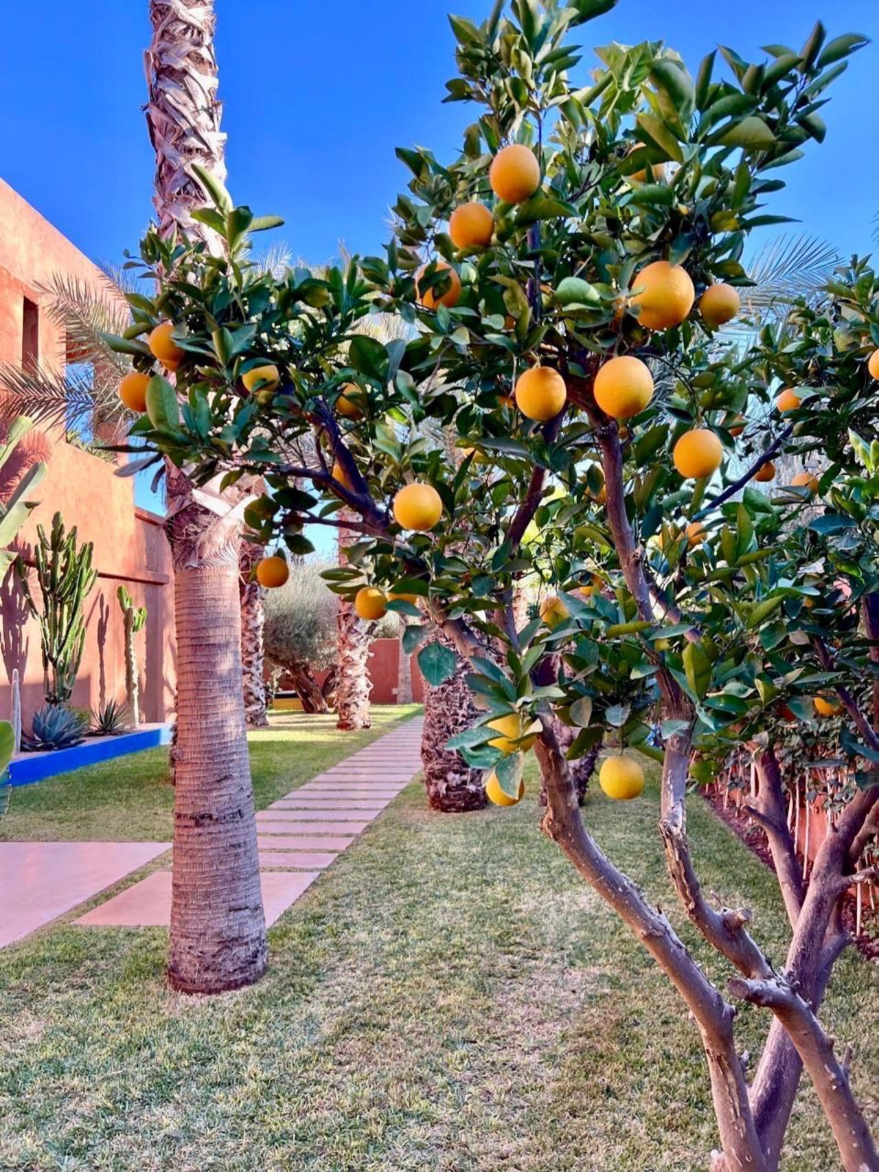 Villa Fanny — IMG_0489.JPG