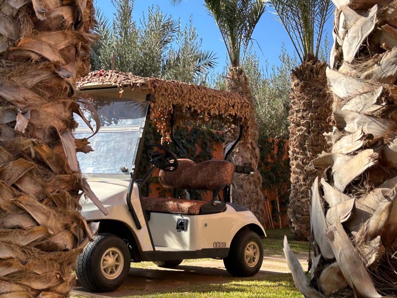 Villa Fanny — IMG_0501.JPG