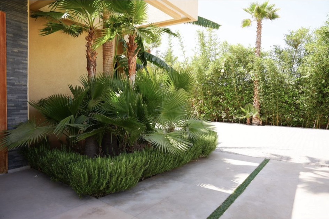 Villa Marley — IMG_1543.jpg