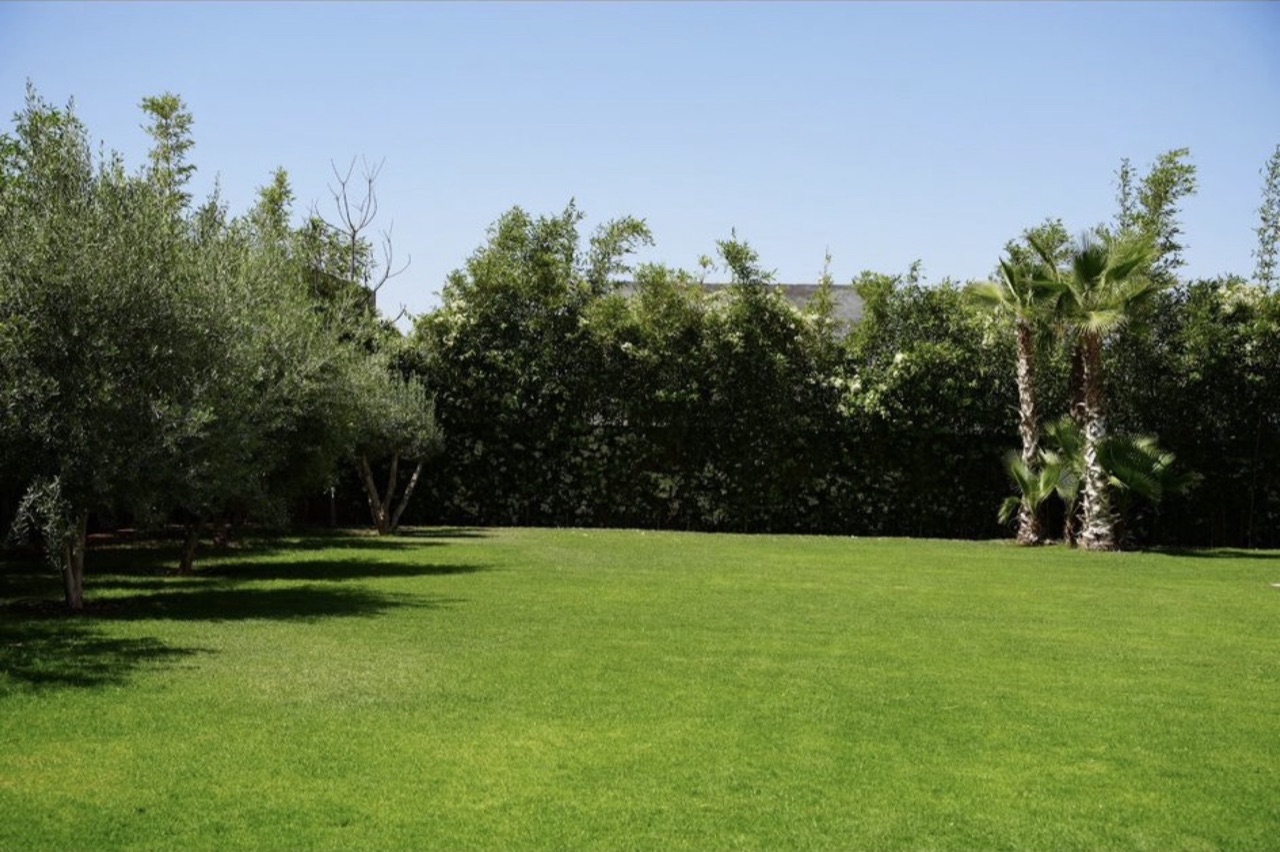 Villa Marley — IMG_1553.jpg