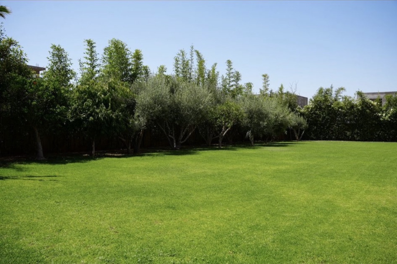 Villa Marley — IMG_1557.jpg