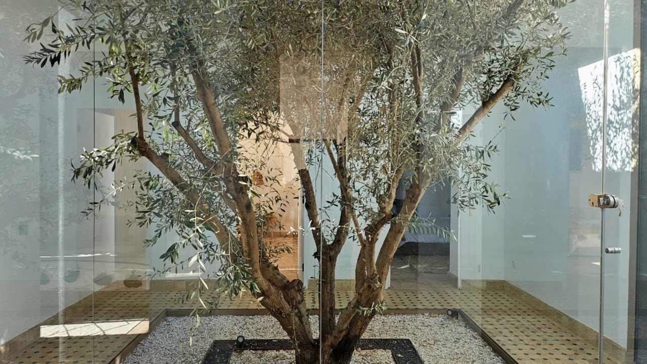 Villa Nino — IMG_1127.JPG