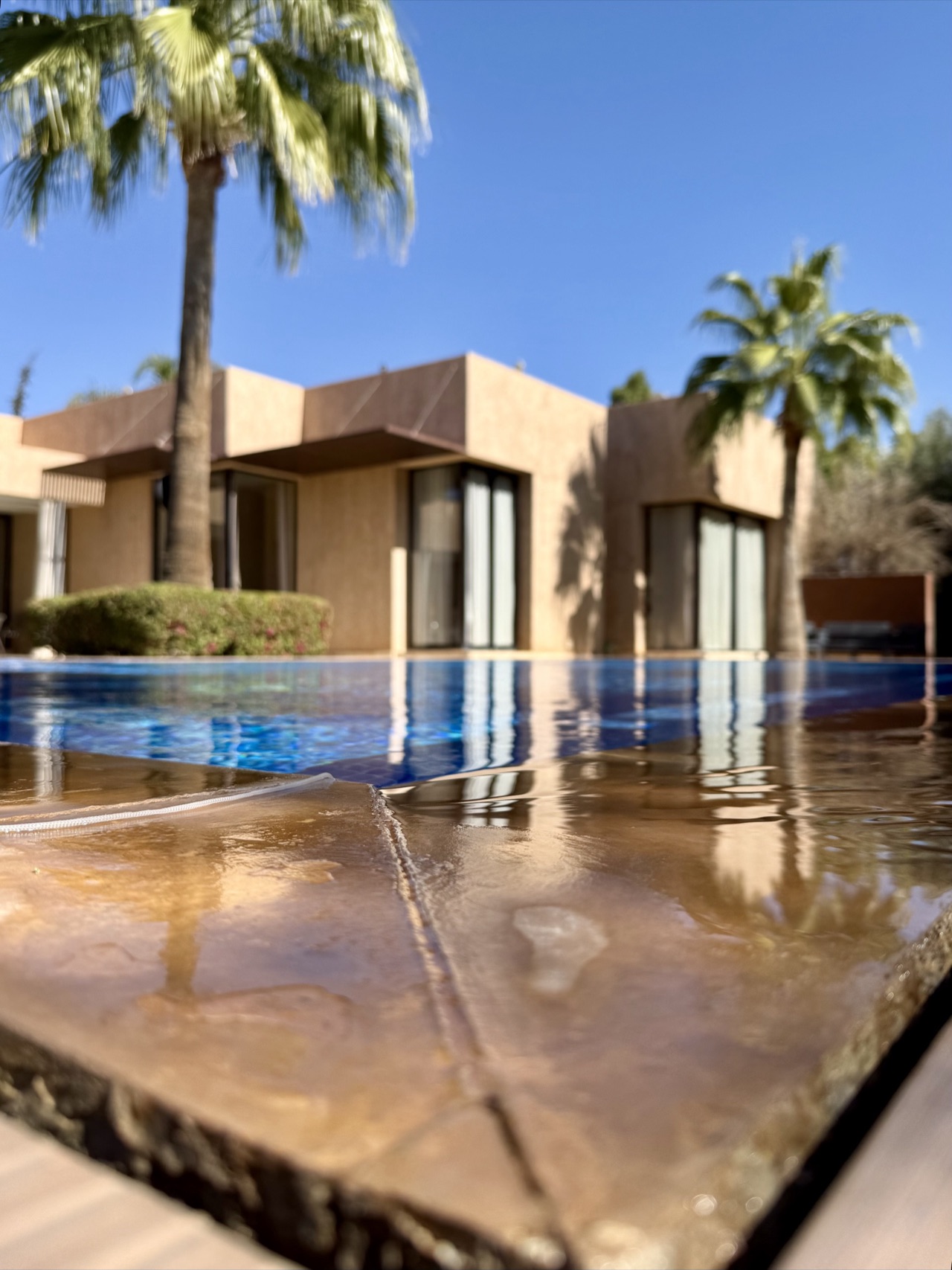 Villa Sunny — IMG_3809.jpg