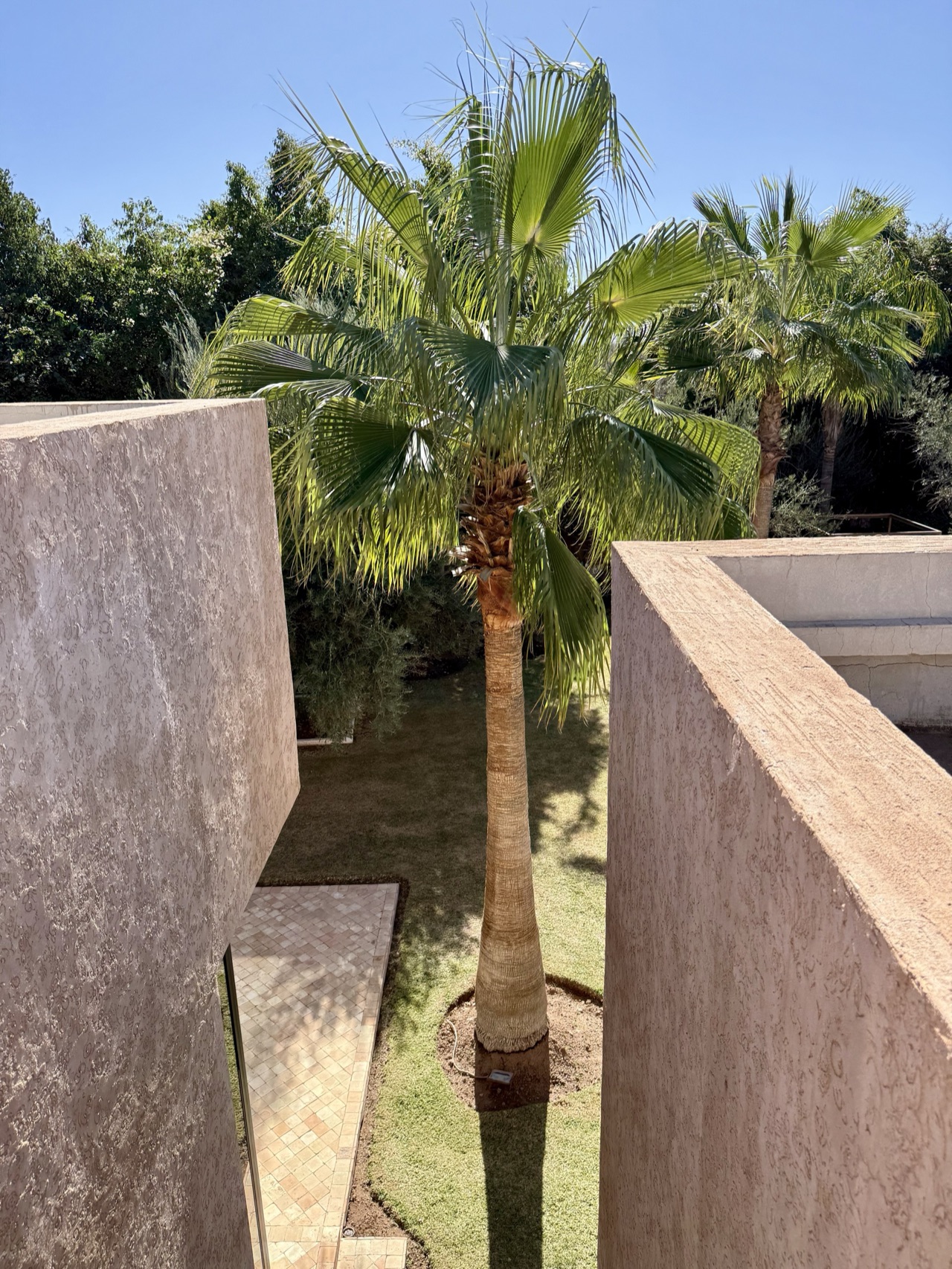 Villa Sunny — IMG_3858.jpg